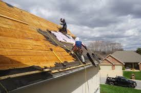 Best Roof Maintenance and Cleaning  in Edgewood, FL